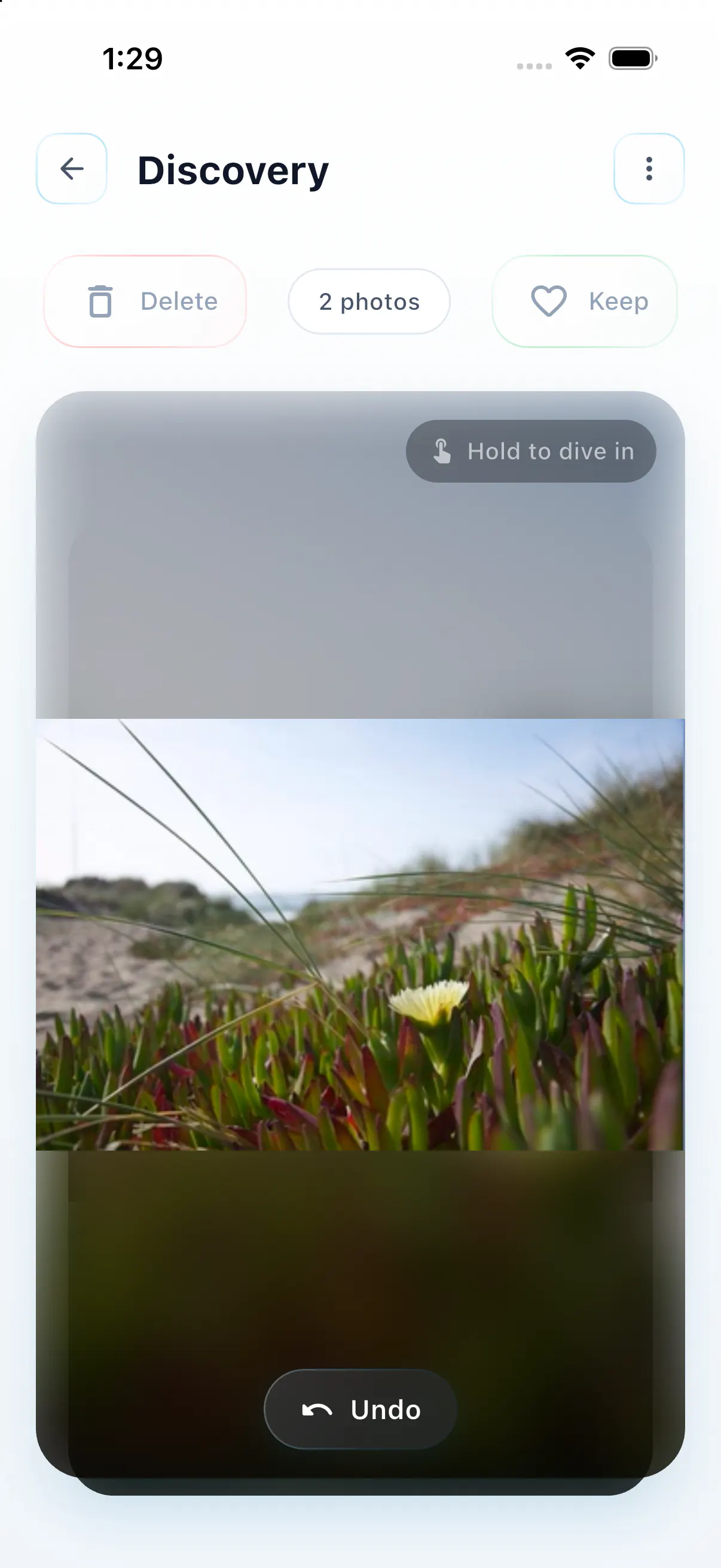The current SwipeLah Discovery screen displaying a beach flower with a clearly visible Undo control.
